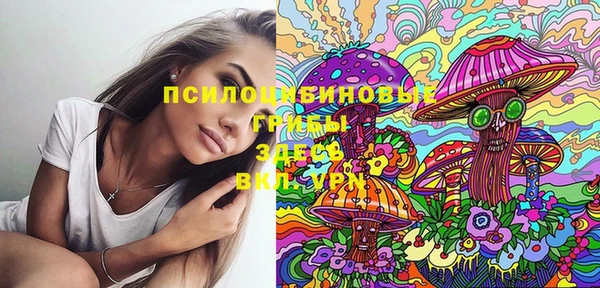 метадон Богданович