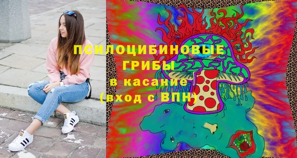сатива Богородск