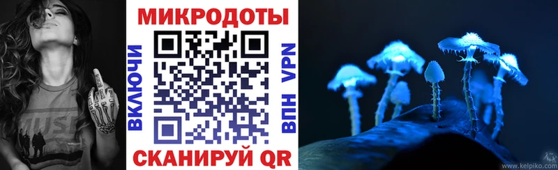 Псилоцибиновые грибы Psilocybine cubensis  Заполярный 